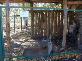 Аткарский зоопарк
