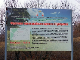 Фрагмент приусадебного парка в с. Губаревка