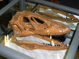 Выставка «Мир динозавров»