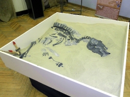 Выставка «Мир динозавров»
