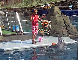 Москва 2011: Дельфинарий