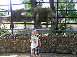 Москва 2011: Зоопарк