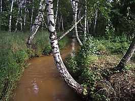 Остановка в пустыне