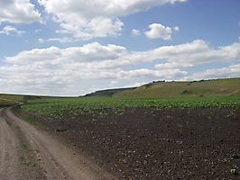 Сокур – Небендорф – Большая Ивановка