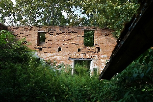 Руины барской усадьбы в Щербиновке