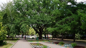 Саратов. Городской парк