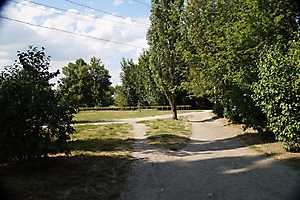 Прогулки по Саратову #3: Заводской район