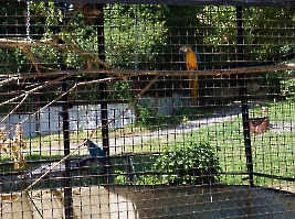 Пензенский зоопарк