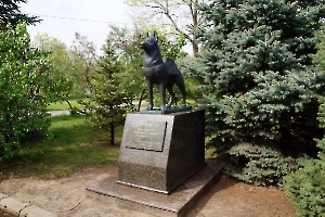 Волгоград. Памятник собакам-подрывникам, истребителям танков
