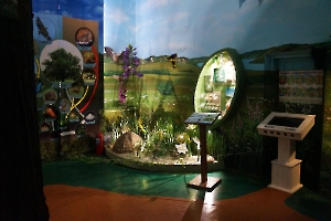 Музей природы «Микромир национального парка «Хвалынский»