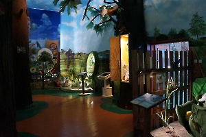 Музей природы «Микромир национального парка «Хвалынский»