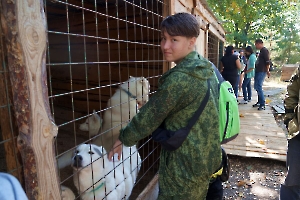 Поездка в питомник Сибирских Хаски «DogWinter»