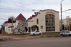 Энгельс. Граффити «Зебра» на здании ресторана «Занзибар»