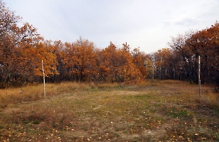 Саратов. Природный парк «Кумысная поляна»