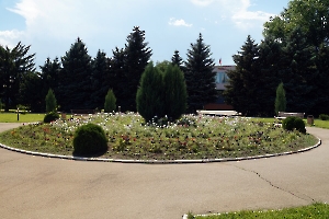 Павловка. Площадь ветеранов войны и труда