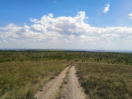 Дороги Саратовского края