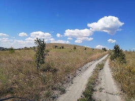 Дорога на Буданову гору