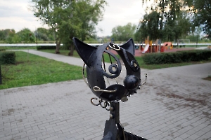 Балаково. Памятник коту