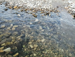 Ровное. Пляж
