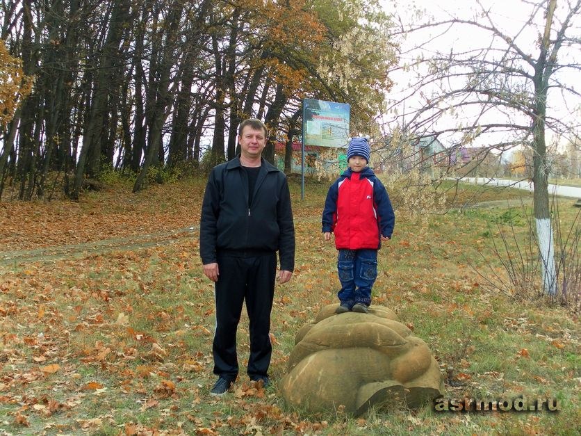 Вязовая дубрава ливенский. Вязовская вековая Дубрава в Татищевском районе.