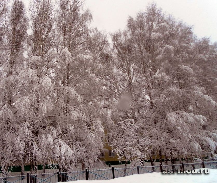 Николаевка. Зима. 2011