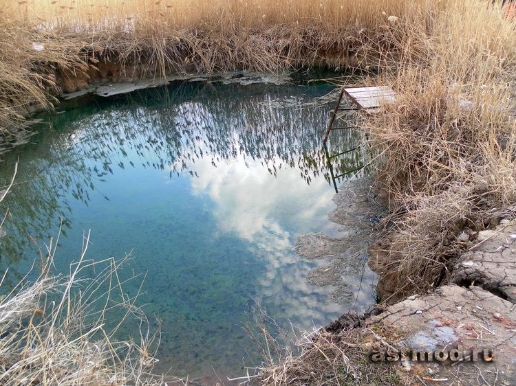 Энгельсские сероводородные источники