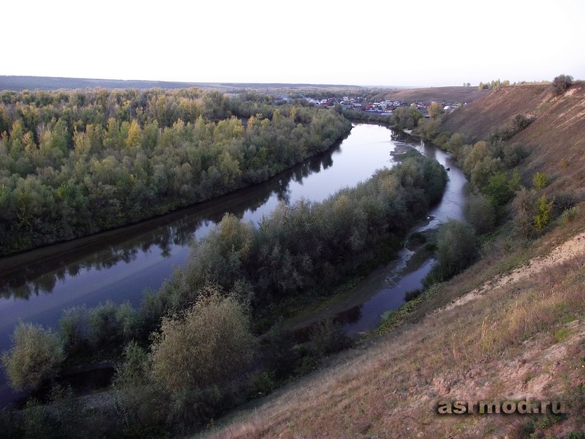 От Синодского до Кошелей