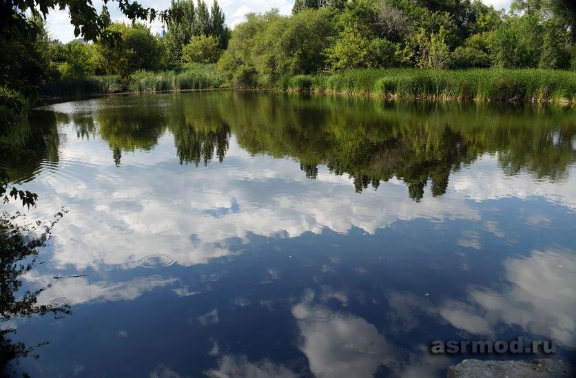 Еремеевский пруд Саратов