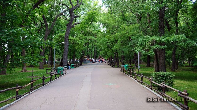 Саратов. Городской парк