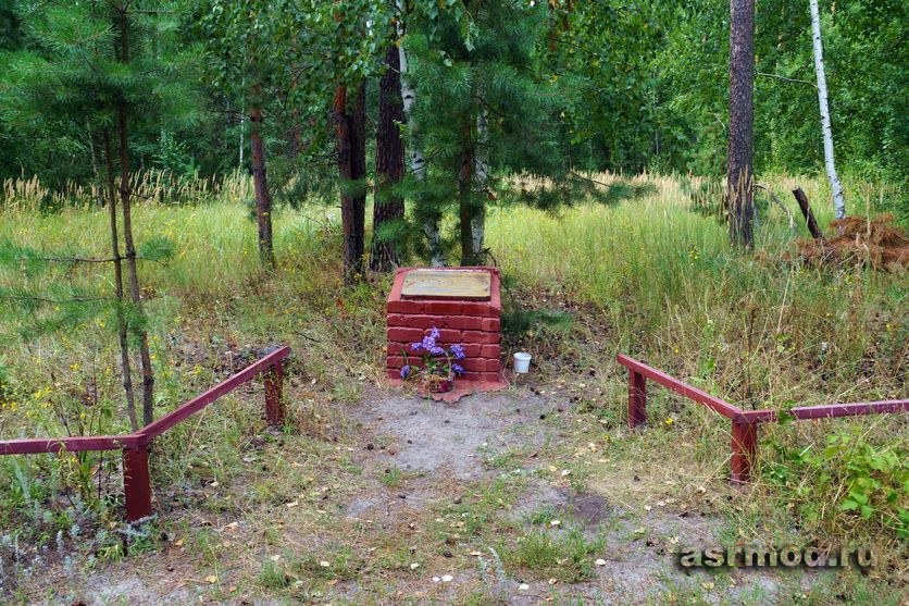 Петровск. Панфиловская аллея в лесопарке «Сосны»
