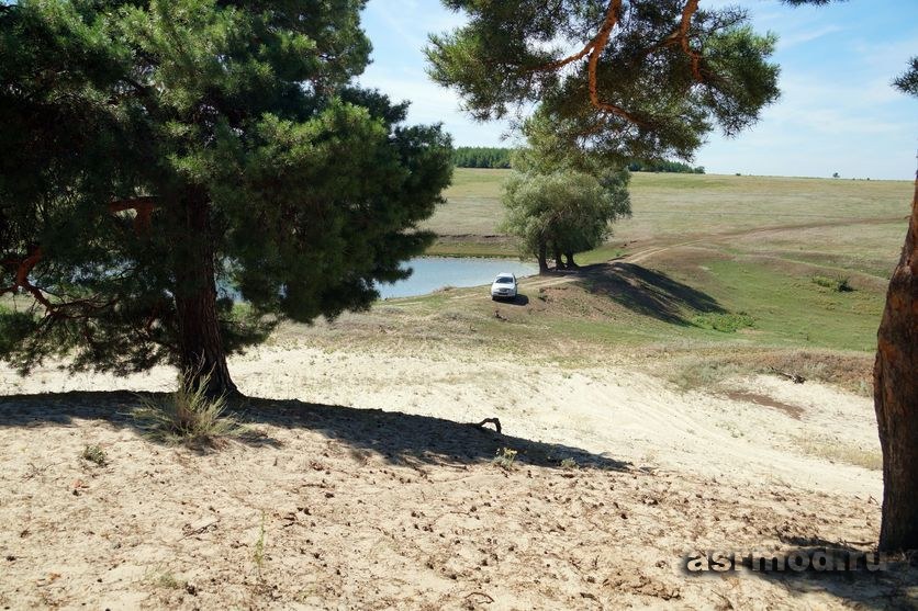 Сосны и пруд у села Поповка