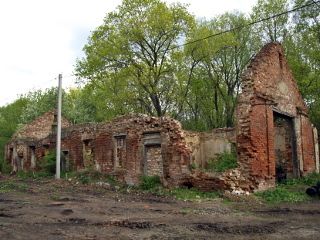 Большая Камышинка. Руины усадьбы Гагариных